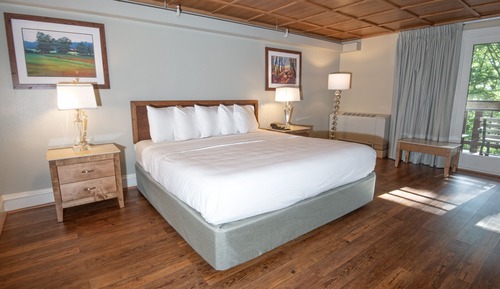 Room, 1 King Bed