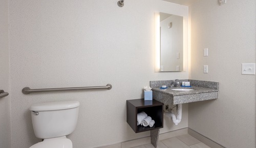 Room, 1 King Bed, Accessible (Comms Accessible. Roll-In Shower)
