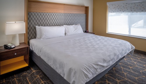 Standard Room, 1 King Bed, Accessible (Accessible Tub)