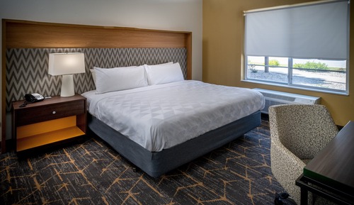 Room, 1 King Bed, Accessible (Communications, Roll-In Shower)