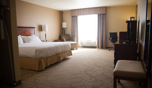Suite, 1 King Bed, Accessible (Communications, Roll-In Shower)
