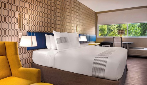 Standard Room, 1 King Bed, Accessible, Non Smoking