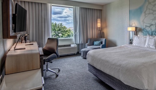 Room, 1 King Bed