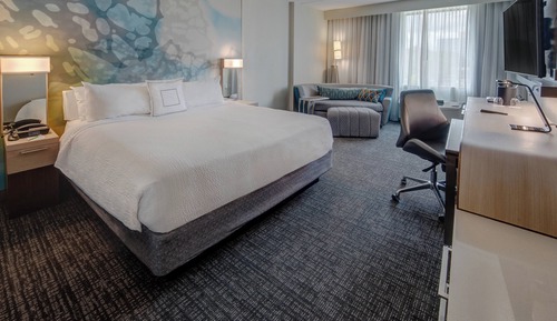 Room, 1 King Bed with Sofa bed