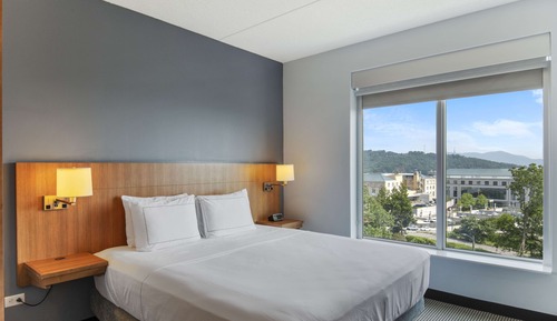 Room, 1 King Bed, Accessible (Mobility & Hearing, Roll-In Shower)