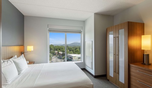 Room, 1 King Bed, Mountain View