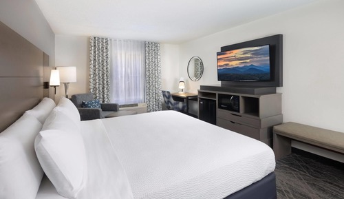 Room, 1 King Bed, Mobility Accessible, Non Smoking (Bathtub w/ Grab Bars)