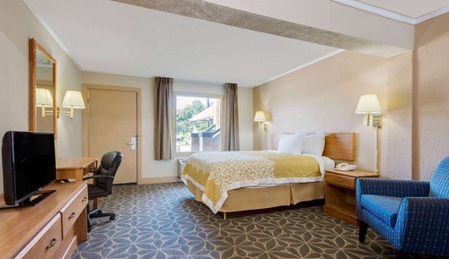 Room, 1 King Bed, Smoking