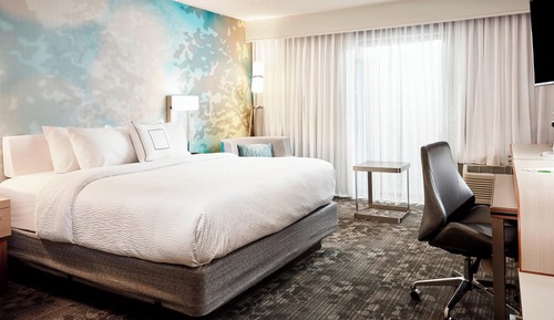 Room, 1 King Bed with Sofa bed