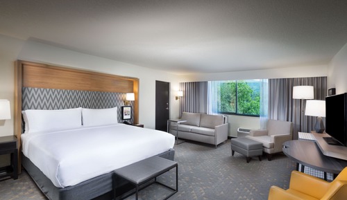 Suite, 1 King Bed, Mountain View