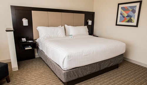 Standard Room, 1 King Bed, Accessible (Communications Accessible)