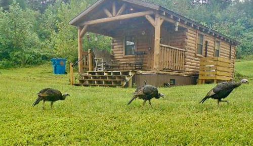 Vacation Home