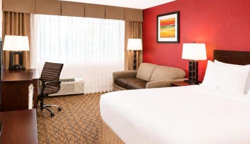 Standard King Room with Sofa Bed