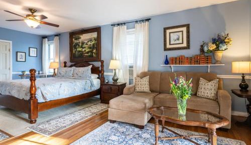 Blue Hydrangea - Pet Friendly