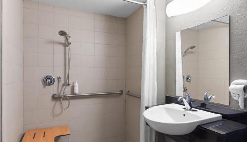 1 Queen Bed, Mobility Accessible Room, Roll-In Shower, Non-Smoking