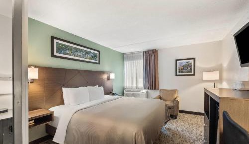 Standard King Room