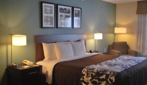Standard King Room