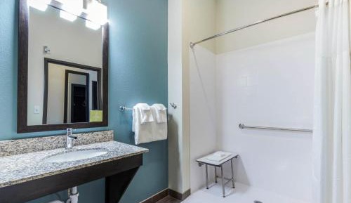 King Room with Roll-In Shower - Accessible/Non-Smoking