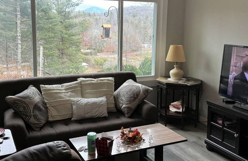 Crossnore Cottage | Dog-friendly all-season cottage with mountain views, firepit, grill, AC, & W/D