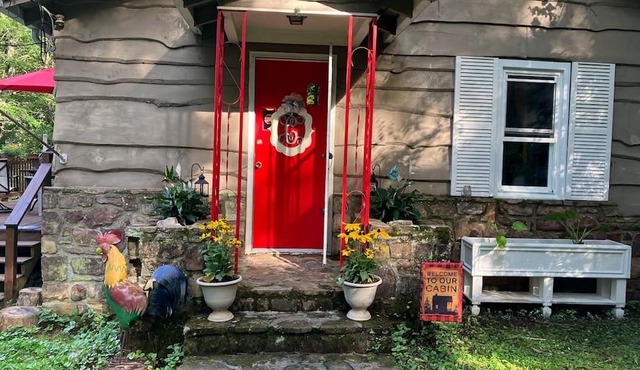 Dog-friendly all-season cottage with mountain views, firepit, grill, AC, & W/D